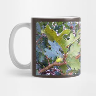 Acorn Mug